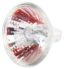 Ampoule halog�ne - MR16 - 250W, cliquez pour agrandir 