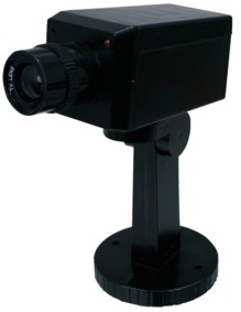 Cam�ra factice, cliquez pour agrandir 