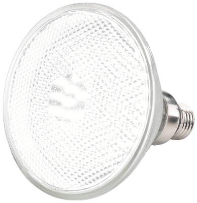 Lampe � LEDS PAR38, cliquez pour agrandir 