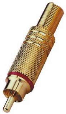 Fiche RCA m�le, cliquez pour agrandir 