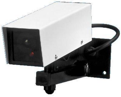 Cam�ras factices - TVD-10, cliquez pour agrandir 