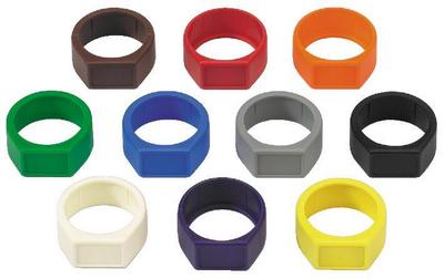 Anneaux de rep�rage, cliquez pour agrandir 