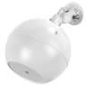 Haut-parleur de plafond en forme de boule