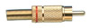 Fiche RCA Male, Rouge, contact Doré
