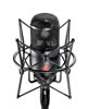 TLM 50 S - Microphone de studio dot d'une directivit omnidirectionnelle - Neumann