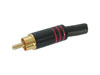 Fiche RCA Male - Dorée - Boitier Metallique Noir - Rouge